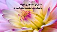 دانشجوي نمونه